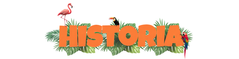 Valores e historia del proyecto